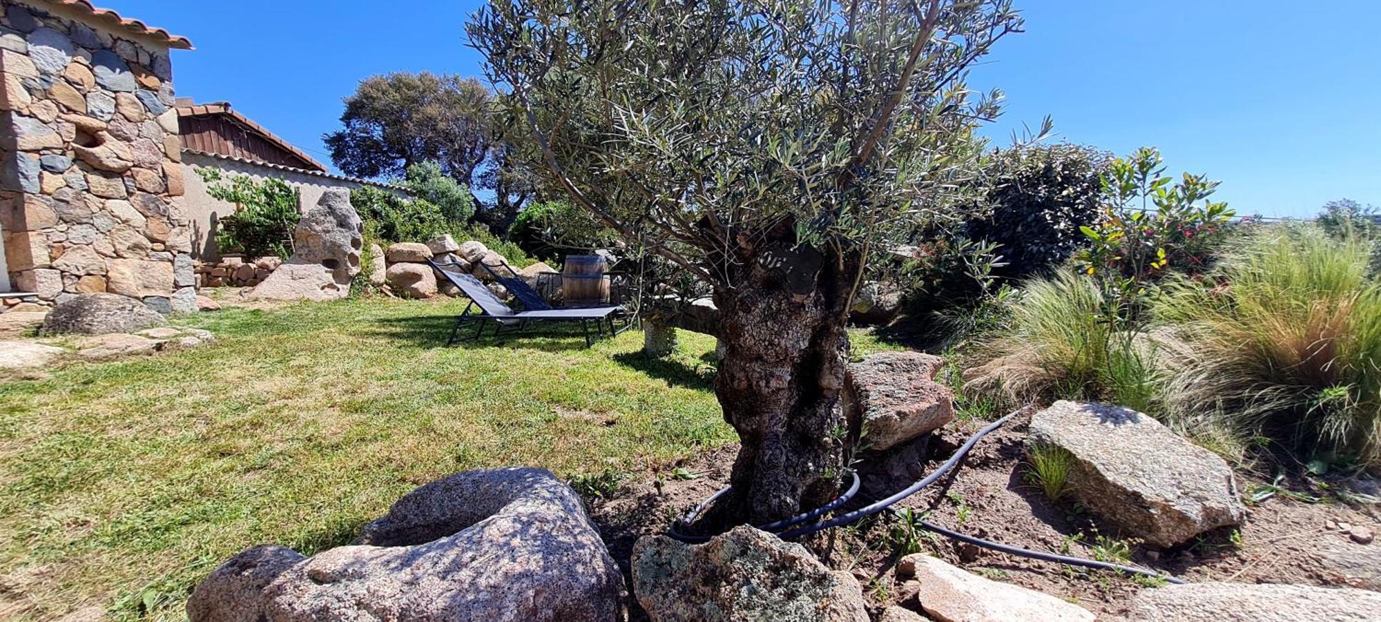 Bergerie A Sapara Pianottoli-Caldarello  Dış mekan fotoğraf